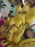 pisang rejang